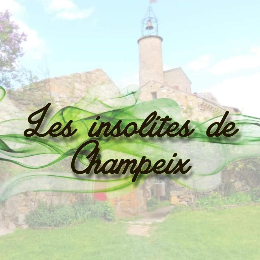Les Insolites De Champeix エクステリア 写真